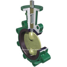 2 shaft butterfly valve